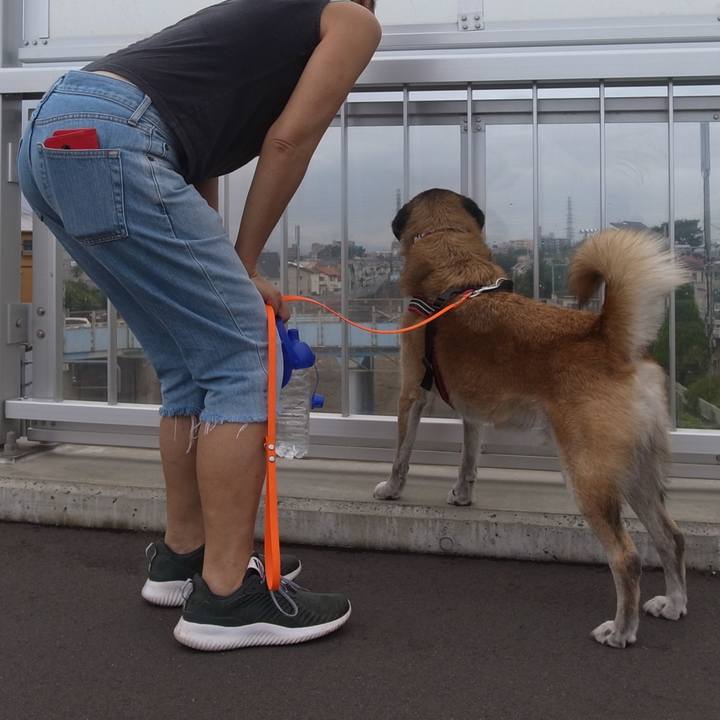 38803b7f 9b39 4293 8cd5 4ae1379565b1 1613088458452