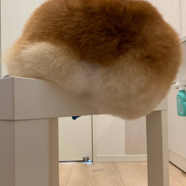 3880406d 0cad 46d2 ae38 11ad8cea1e86 1675673179161