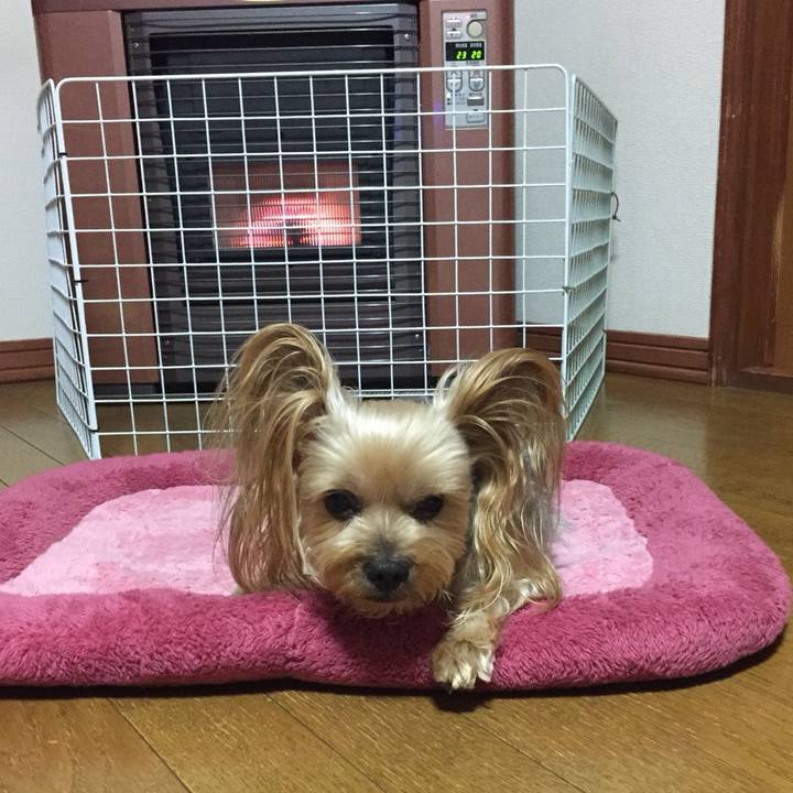 38804741 ac61 49c4 96f5 611606c44ca6 1542580428468