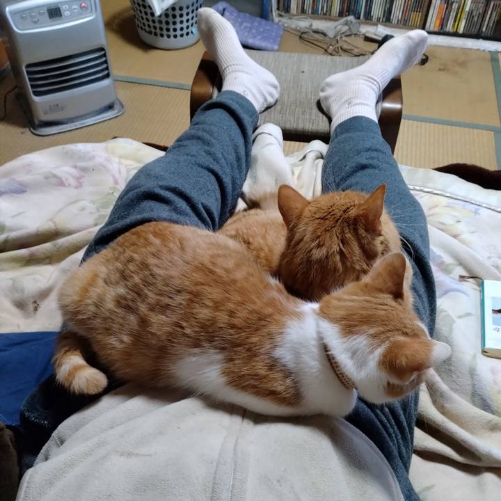 38806ffa ce9a 49f9 a508 66a3ed547fcf 1735890208215