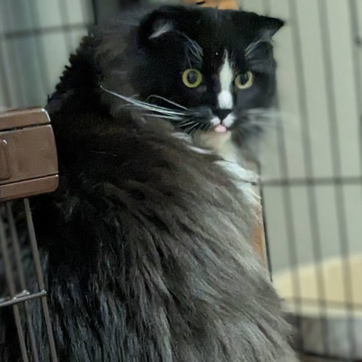 38808986 155b 406c 843e b5f153470e8d 1691889391652