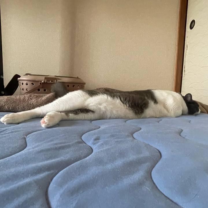 3880ba28 300a 4911 8473 a6b668903a61 1655858863470