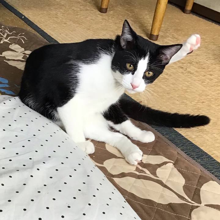 38810010 92ea 4067 a7d1 91fcd4b92892 1633303692659