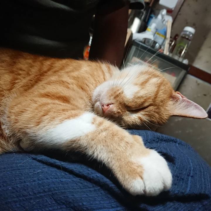 38811c8c 5383 4c0b 95f5 7768ac6b3f78 1600030884207