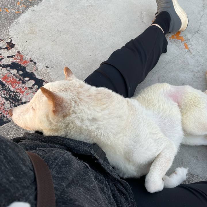 38811f83 bb78 46f8 8eee 5cf68c385738 1667894139535