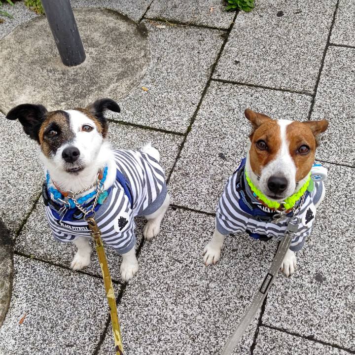 38813e3b c826 4223 85d6 c0d4af8d8f6d 1623794868803