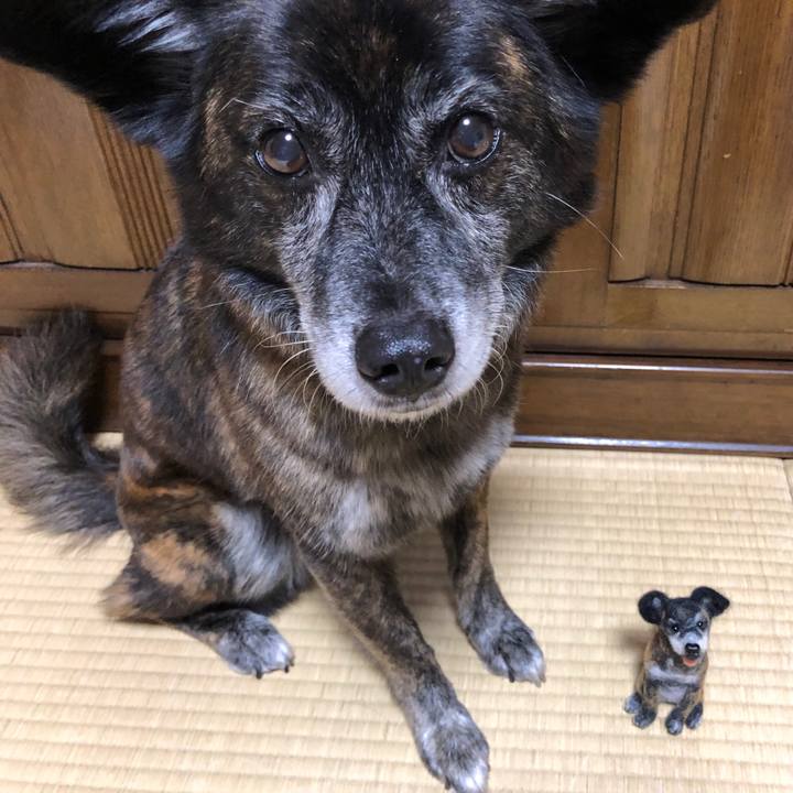 388186c9 4b35 4629 90bb a22cc0ee61d9 1630397136331