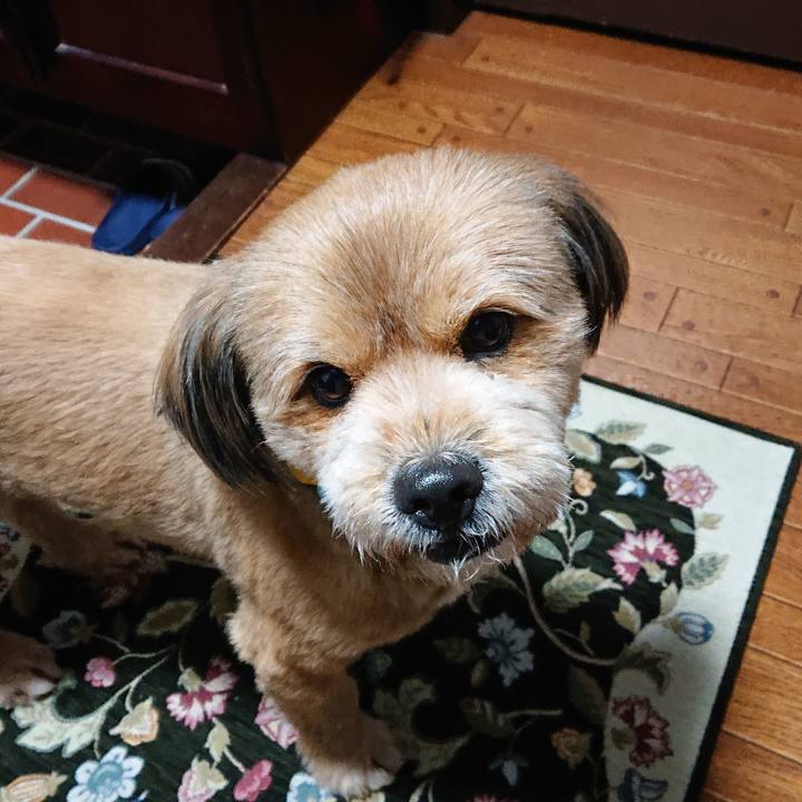 3881b34e 88be 40dd 86c4 4a612ac5f475 1549318107229