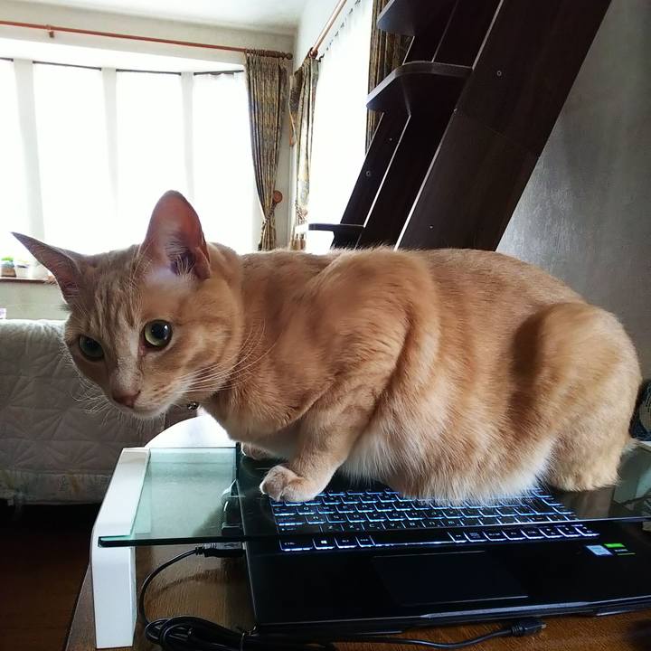 3881c8b4 2630 4349 9cf6 6bd046bb7f11 1605753278227