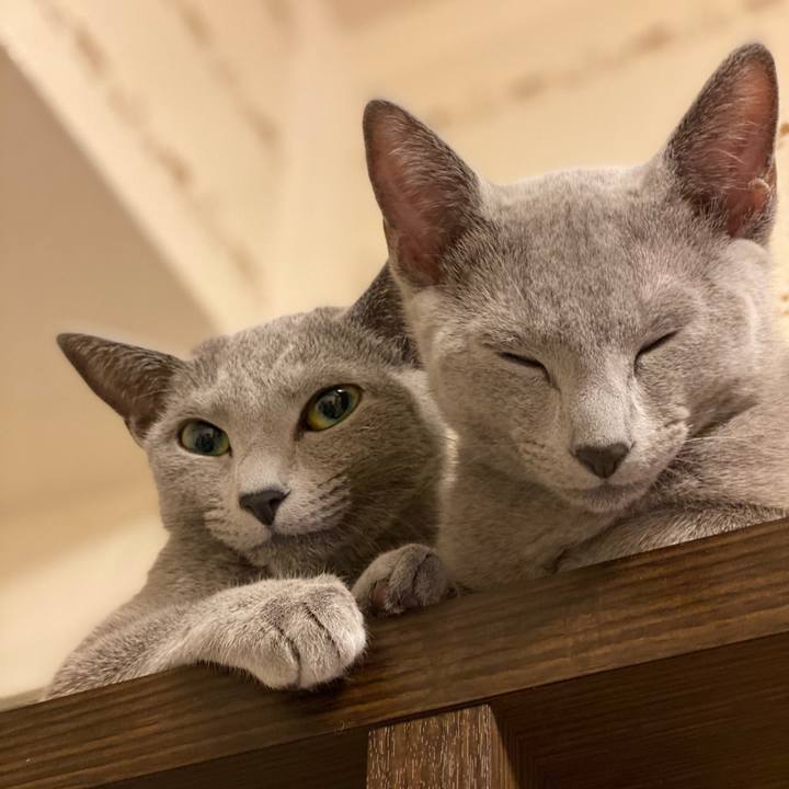 3881cdcf ebda 4aea aedd 261044cbe42b 1606738231042