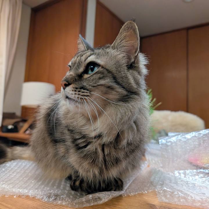 3881d66f 0d87 4ac0 b4aa 99dba89815b3 1770678712144