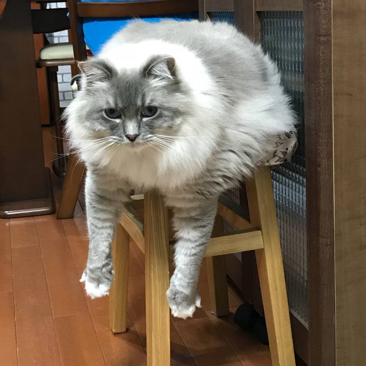 38820cb8 04eb 491c 9921 03483543cd04 1516312923992