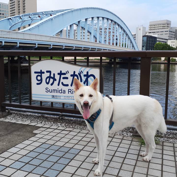 3882524e 0d1e 4f8a 8481 2ff7668697a6 1662260554010