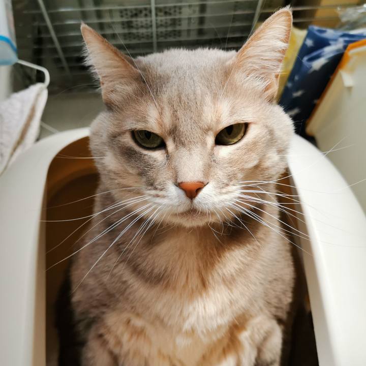 38825efa 1f6c 447f 8b4e 4bb63771c73d 1675571012066