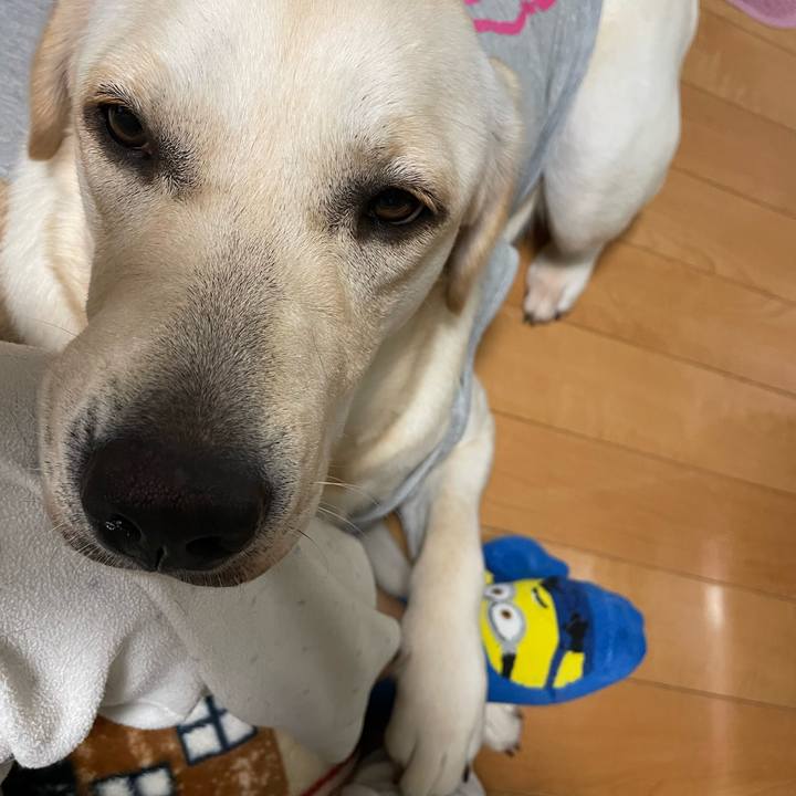 3882830d 7bd5 41b9 a2b0 5fb9e66d3d31 1636549162291