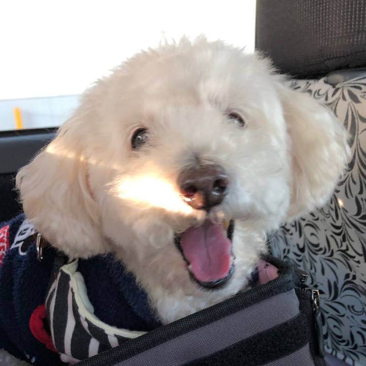 3882a251 0096 4d77 8ac1 3b41c2059b90 1545361253799