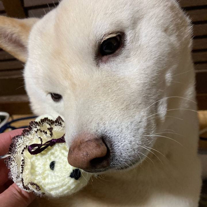 3882b867 fb1d 4a20 ac29 f3de2abe1364 1613647882131