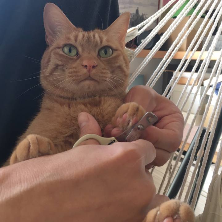 3882c45f 9e7c 4696 b1e8 3d7d4dc97160 1555806605807