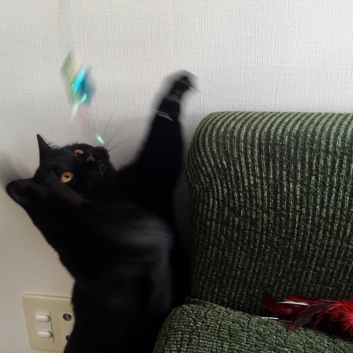 3882cbf5 394f 439e baae c9bd4e09e9e0 1526856395165