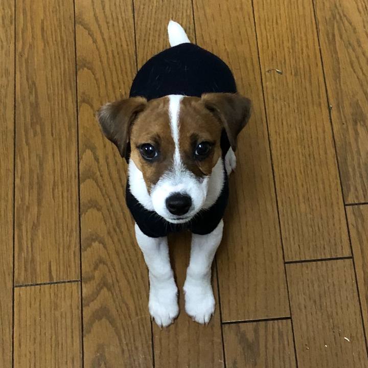 388305ec 40cb 4abf 8577 06c184265a56 1514241287932