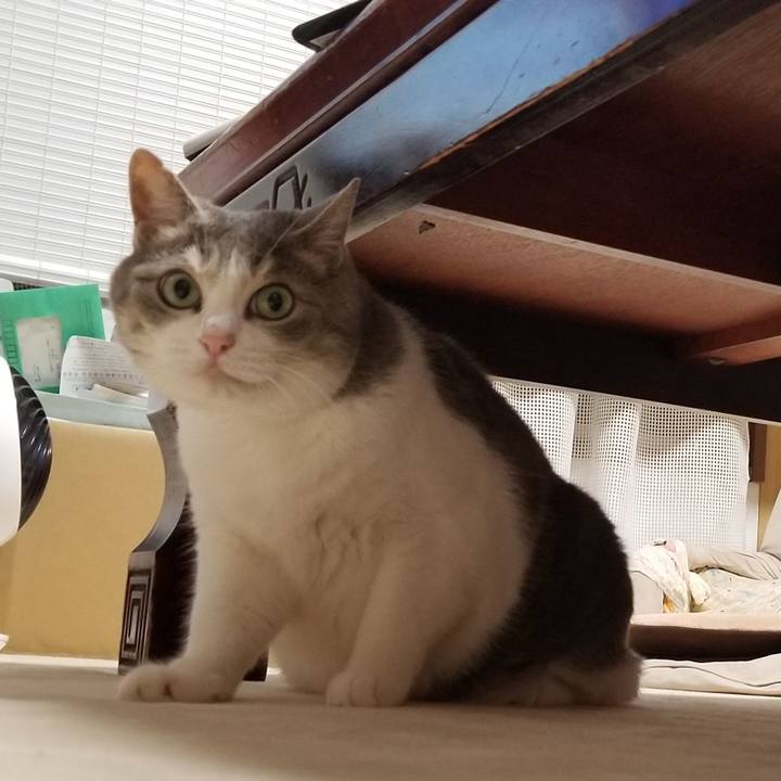 38830bcf 8c57 45b8 838a 6def90b0029a 1690030550020