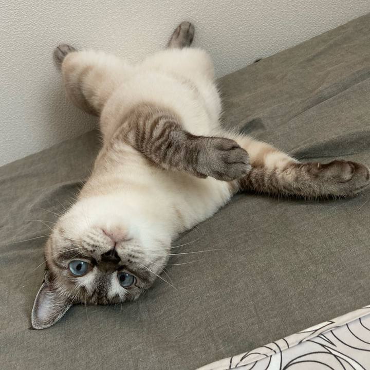 38832974 d60b 4e58 9ec7 38ab14f1acf0 1627977378017