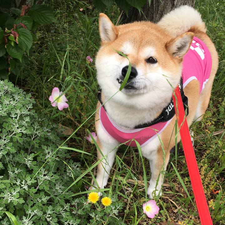 38834d20 bd3d 47b6 9b33 74efc61e6002 1590811781247