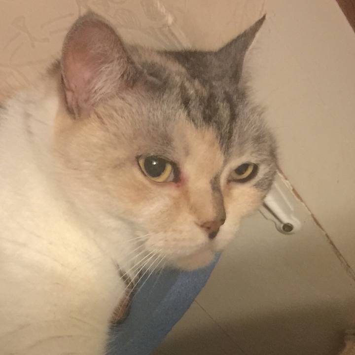 38836a86 f71c 47b9 865c 16d1dbdc4726 1564505238318