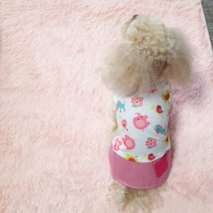 38838d7f 41c4 4032 aebf 8c0980fdd803 1519892985995