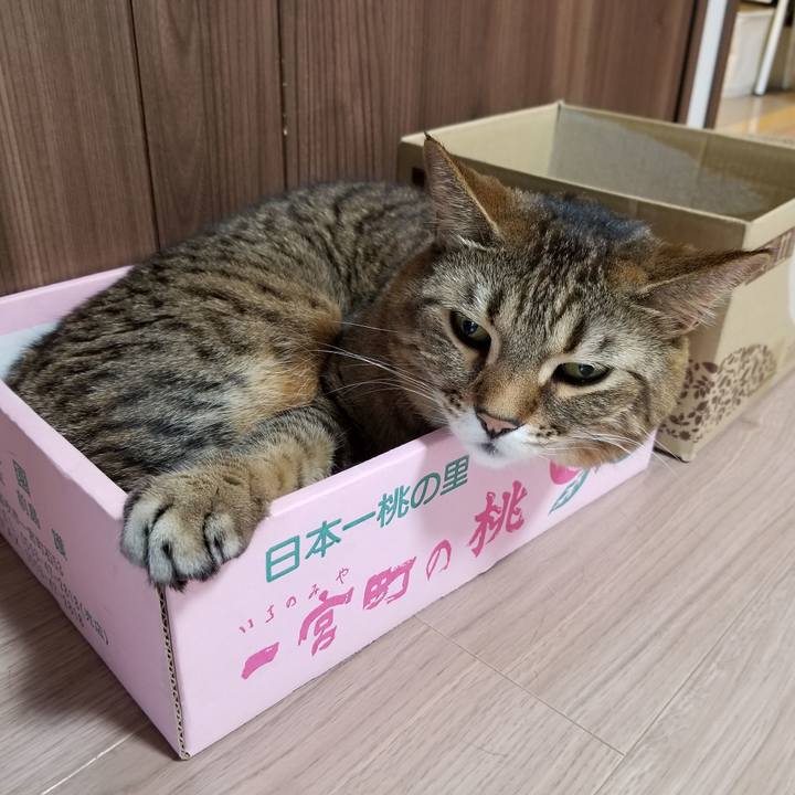 3883b965 e909 442e 965f c9e1c0dfde55 1616020747038