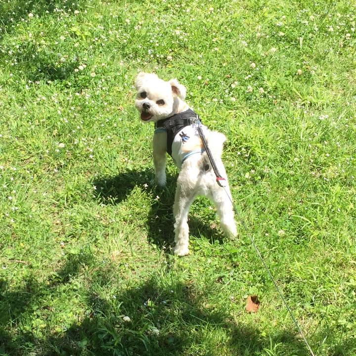 3884784a d63e 4e17 9cbb 1a9ecd40546c 1525509536884