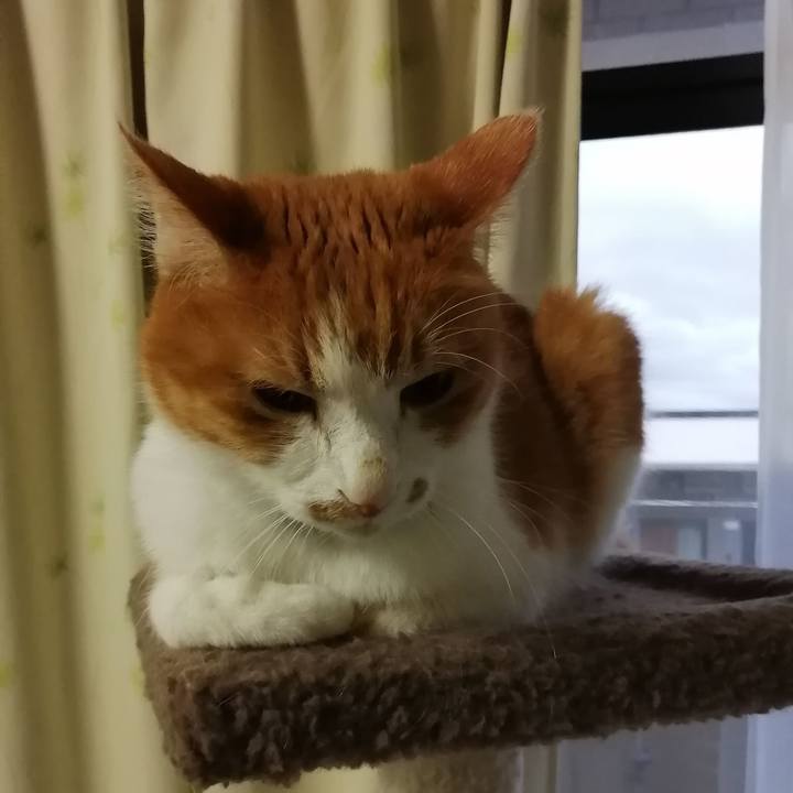 38847932 383e 4b27 b8d3 78b55346e930 1609311160354