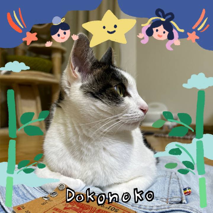 38847b01 76a6 4dea 8ee1 b6cd74f2bd21 1720877443453