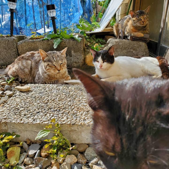 38848a52 3a29 48cb bacb 87d30ff830a7 1696980450196