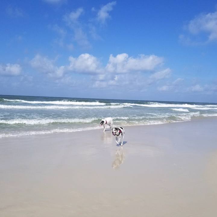 38851613 5a78 4eea 98c2 cad94cdbd1d8 1561376961702