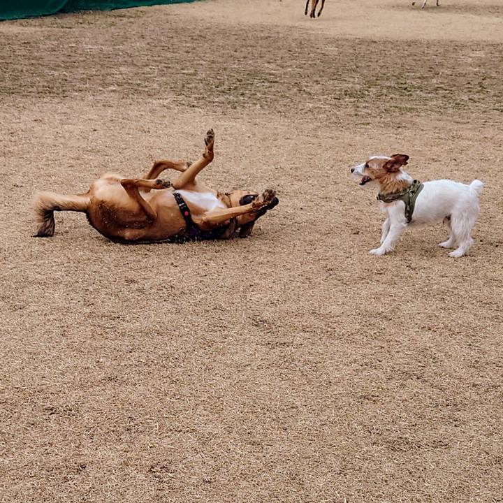 38855feb 97f7 415c aa9d b1b5e6b8e20c 1708134563339