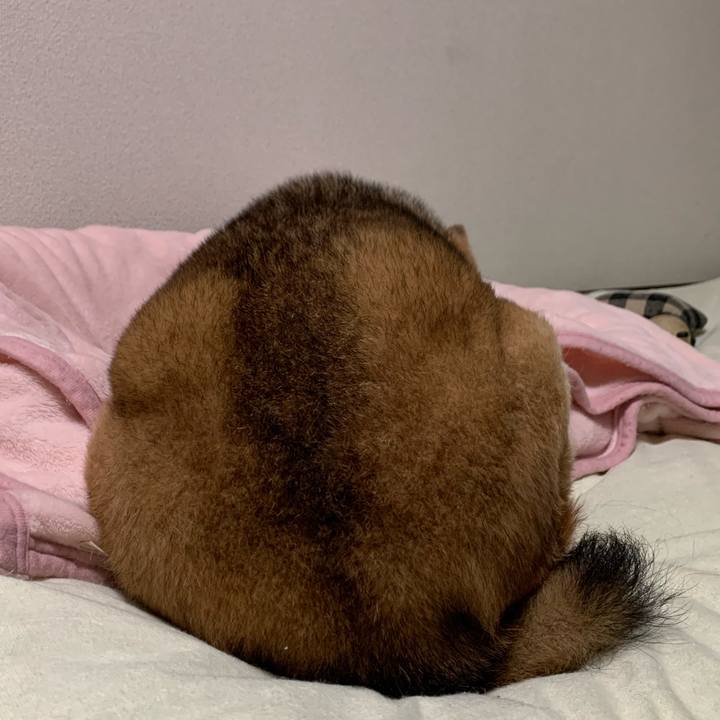 38858b7d 6c01 4c7e abc8 169c979f4371 1667636169790