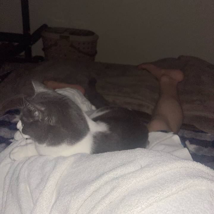 38859179 202d 4308 a1f5 ef15970fb7bc 1684359460172