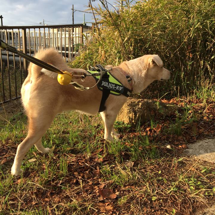 3885b09d 20b5 48dc 9c38 ba492fd2b32a 1542183213377