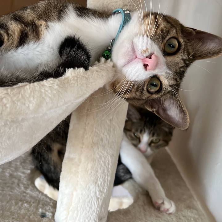 3885eca8 e448 401e bc2e 632d68815ac1 1666229290844