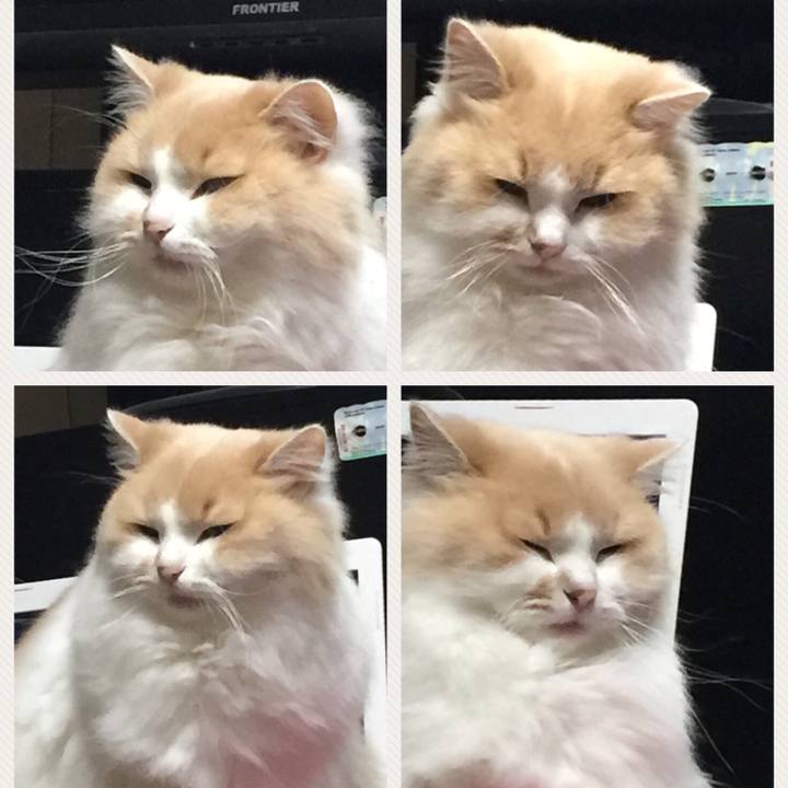 3885ef28 0901 4e49 b27d 3bad2453bc82 1507789836402