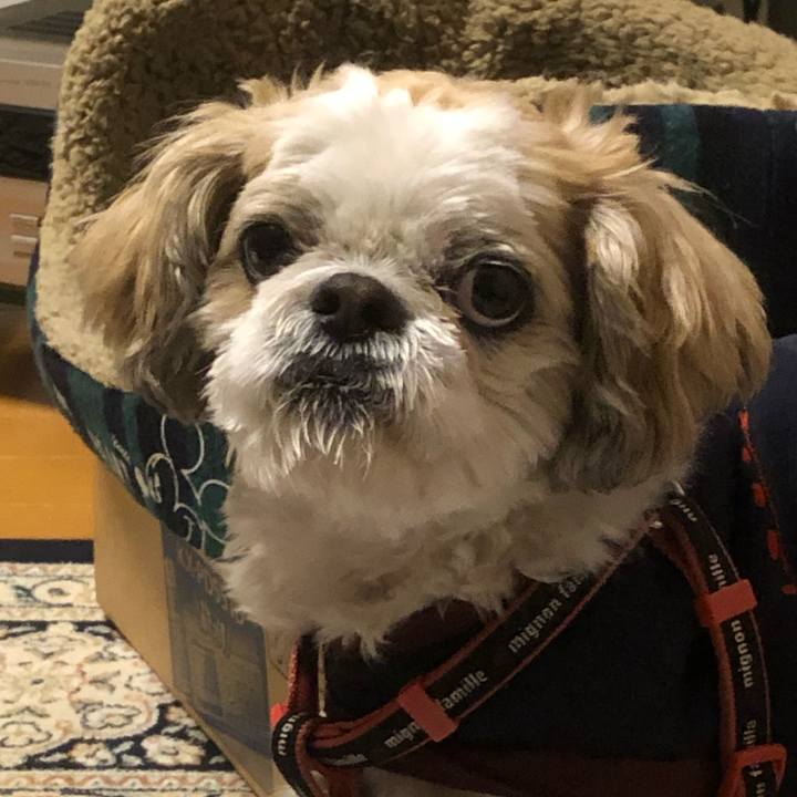 388614ff 17cf 481d be26 2943c5aa1887 1611784502413