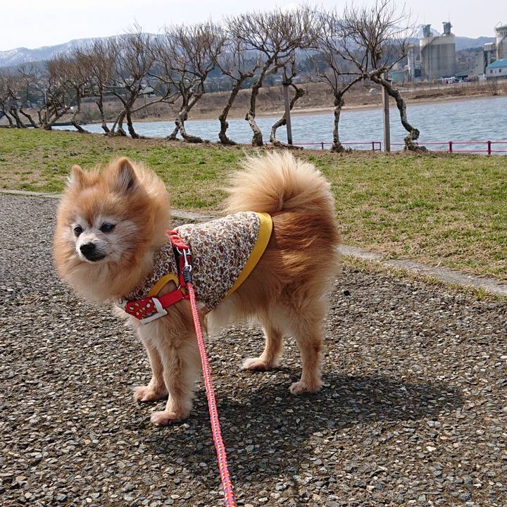 38862676 31f6 419d 8d12 fd68c6b6a273 1616233726386