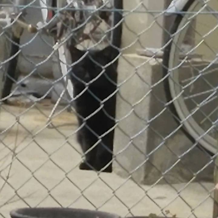 38862892 bb1b 4c66 be8c ea683e5bfcec 1549169615908