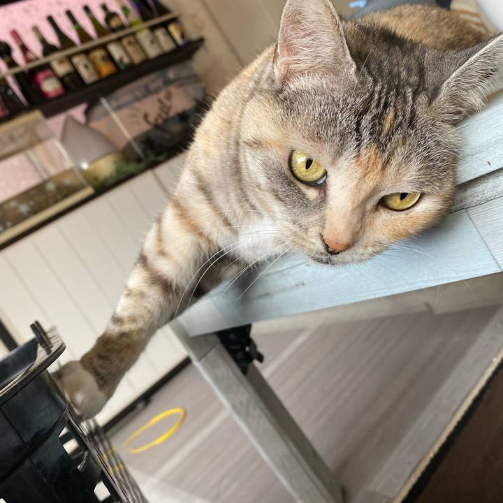 38863ced 6323 40e8 ab27 1dce69fd70bd 1620003689445