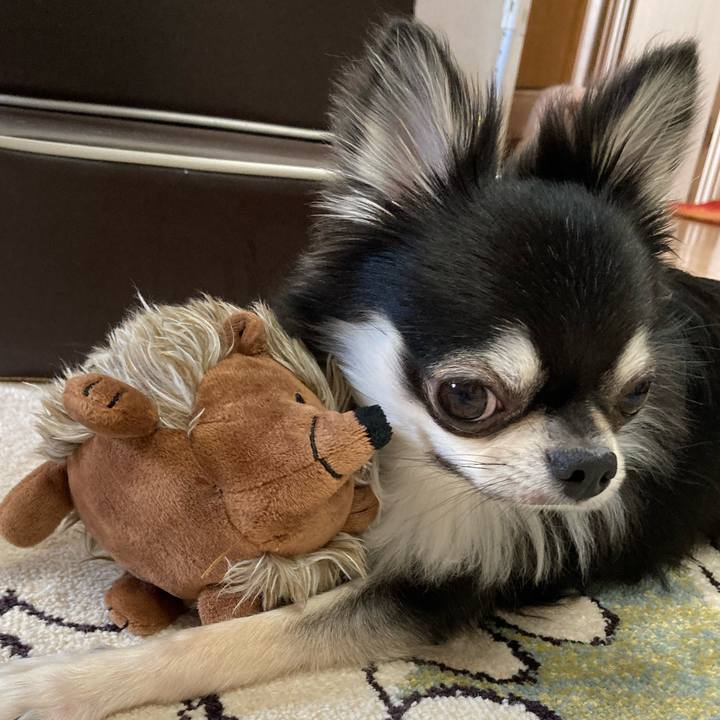 38866cf0 949f 4569 bf4f 8c2d67bc83e3 1622358834415