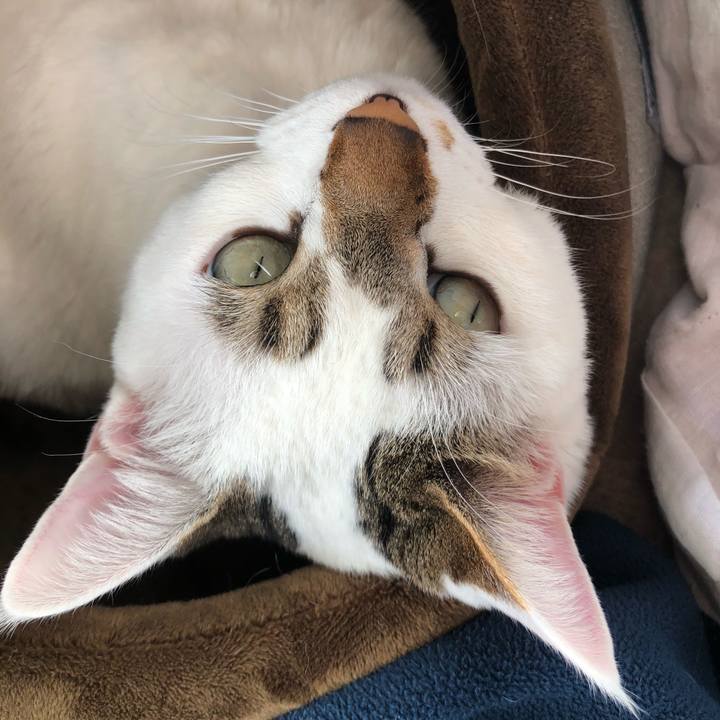 38867309 1218 430d b792 11caf472aa72 1517376969509