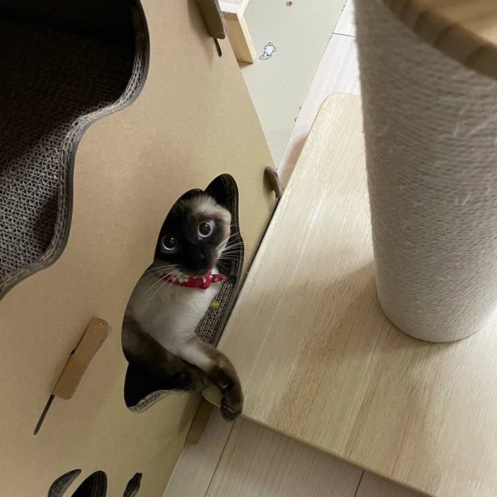 38869a67 2af7 4bf0 a4b8 b55b1e126ebe 1706469916198