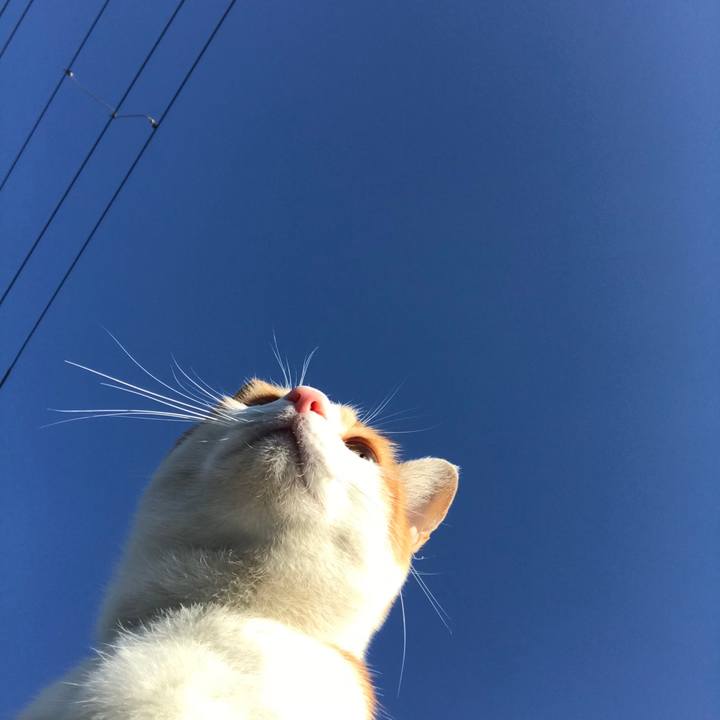 3886b435 d50a 4553 980a 90d85aa4cddc 1510705470714