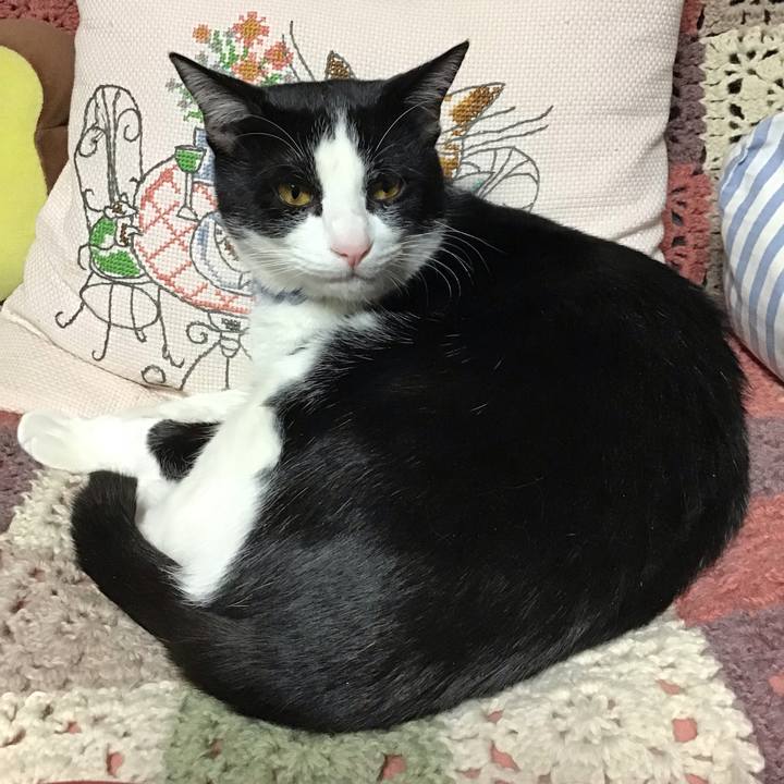 3886d530 9488 4deb 8628 e2a58d7c1110 1643620971257